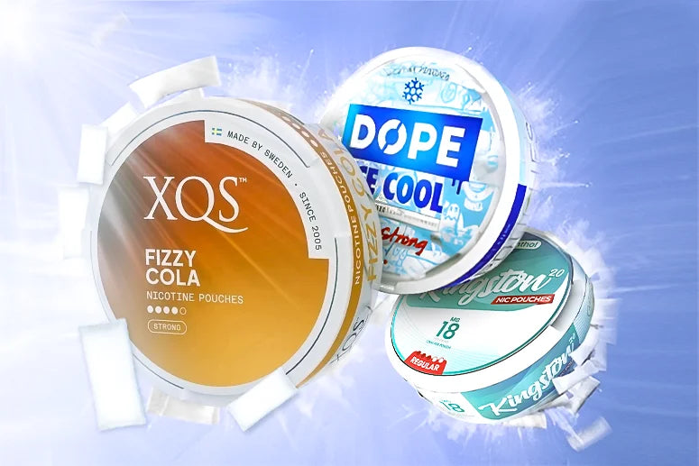 xqs nicotine pouches