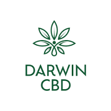 Darwin CBD - IMMYZ