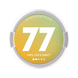 77 Nicotine Pouches - IMMYZ